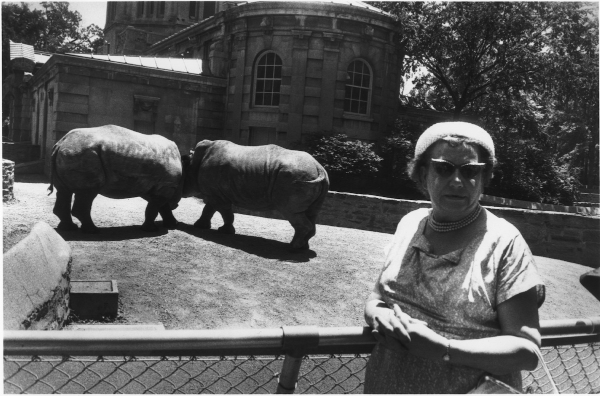 Garry Winogrand: Airports and Animals | Fraenkel Gallery