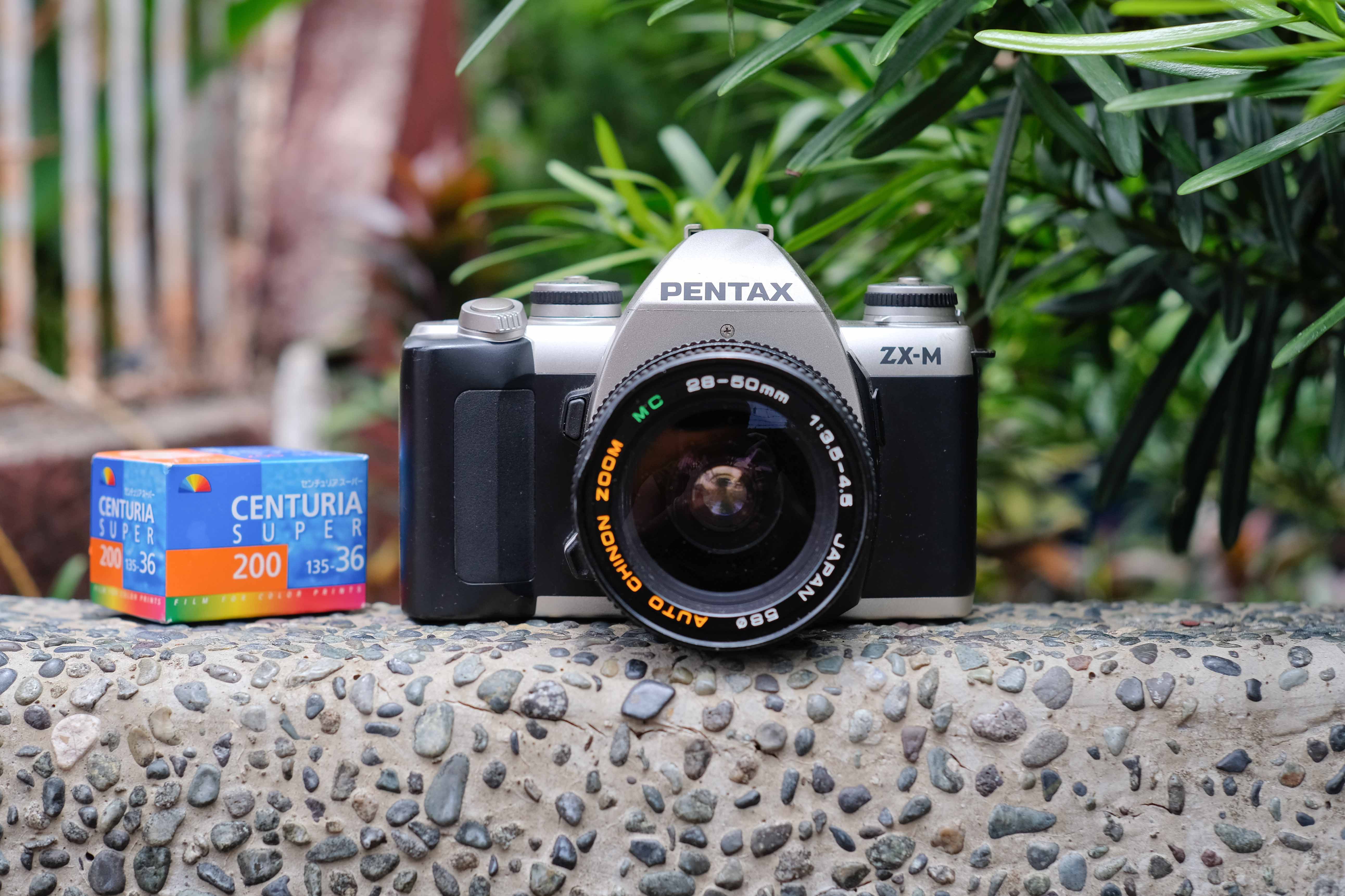 Pentax ZX-M film SLR – King