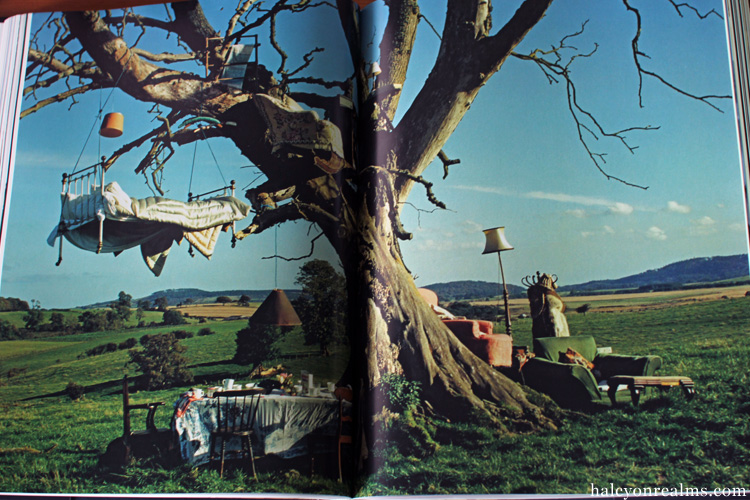 Tim Walker Pictures Book Review
