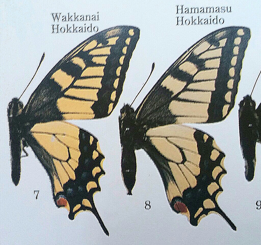 IMG_20190412_113020.jpg?resize