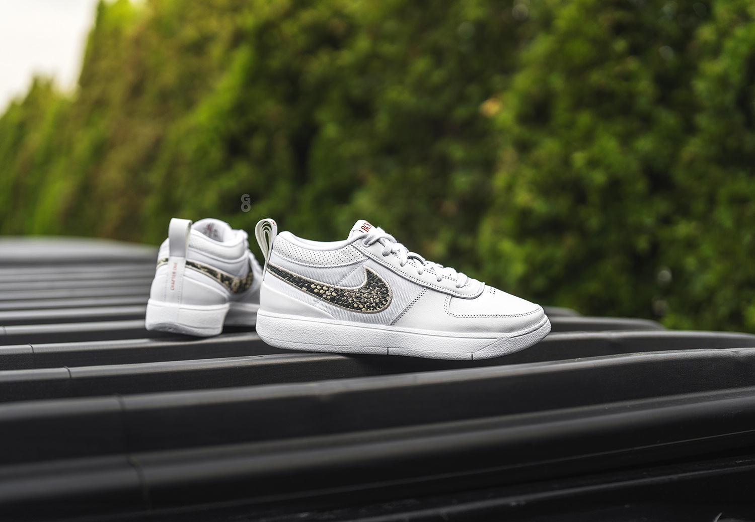 Nike Book 1 “Rattlesnake” Review – Sean Go