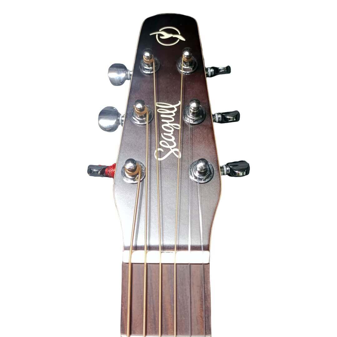 Seagull Entourage Autumn Burst アコギ - - 西尾楽器オンラインショップ