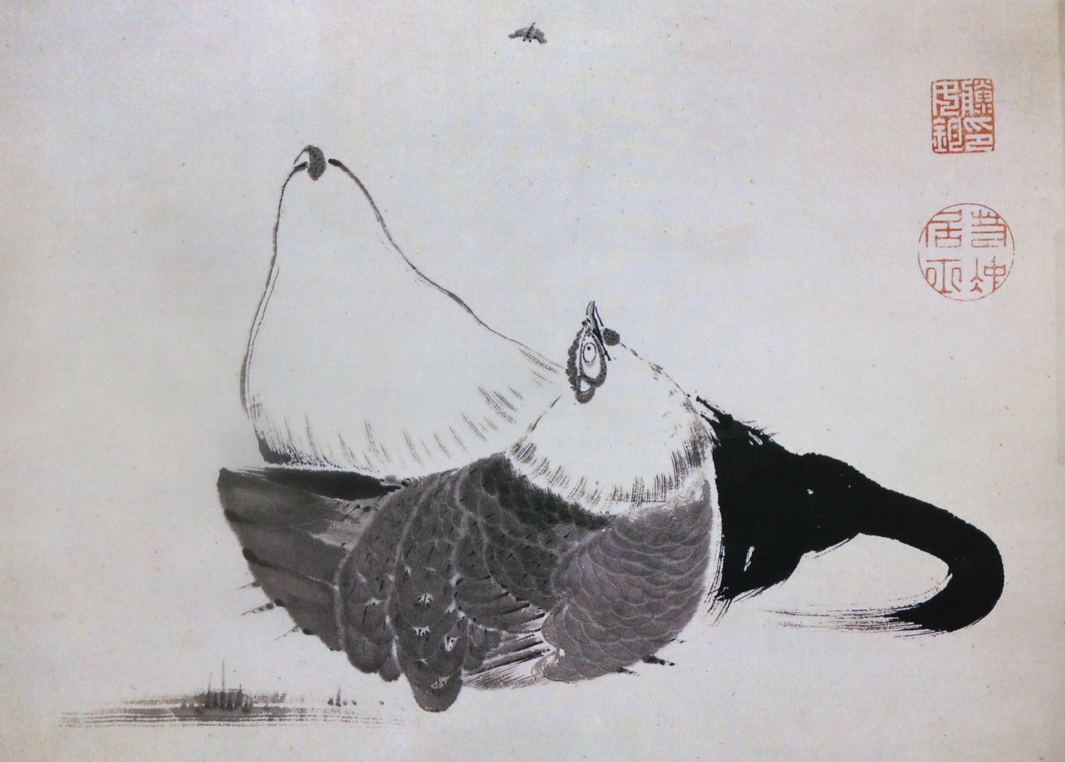 虻に双鶏図 | 伊藤若冲 Ito Jakuchu