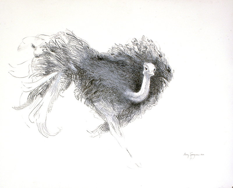 Something Wild | Mary Sprague