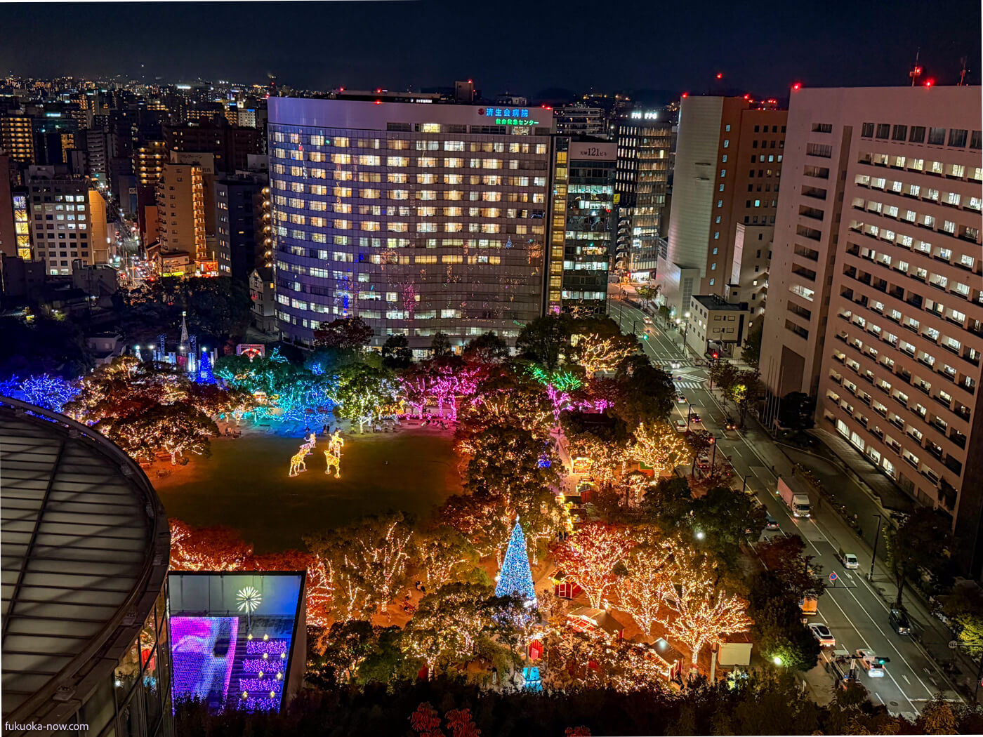 KOBITOS Zukan x ACROS Fukuoka Winter Illumination - Forest of