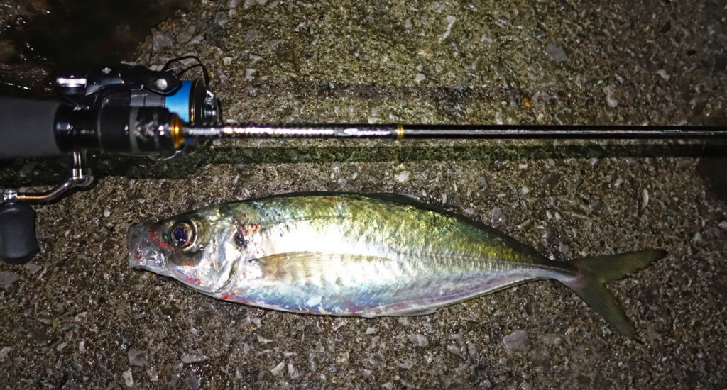 スペリオル】超絶感度！EVERGREENの人気アジメバロッド「ソルティ