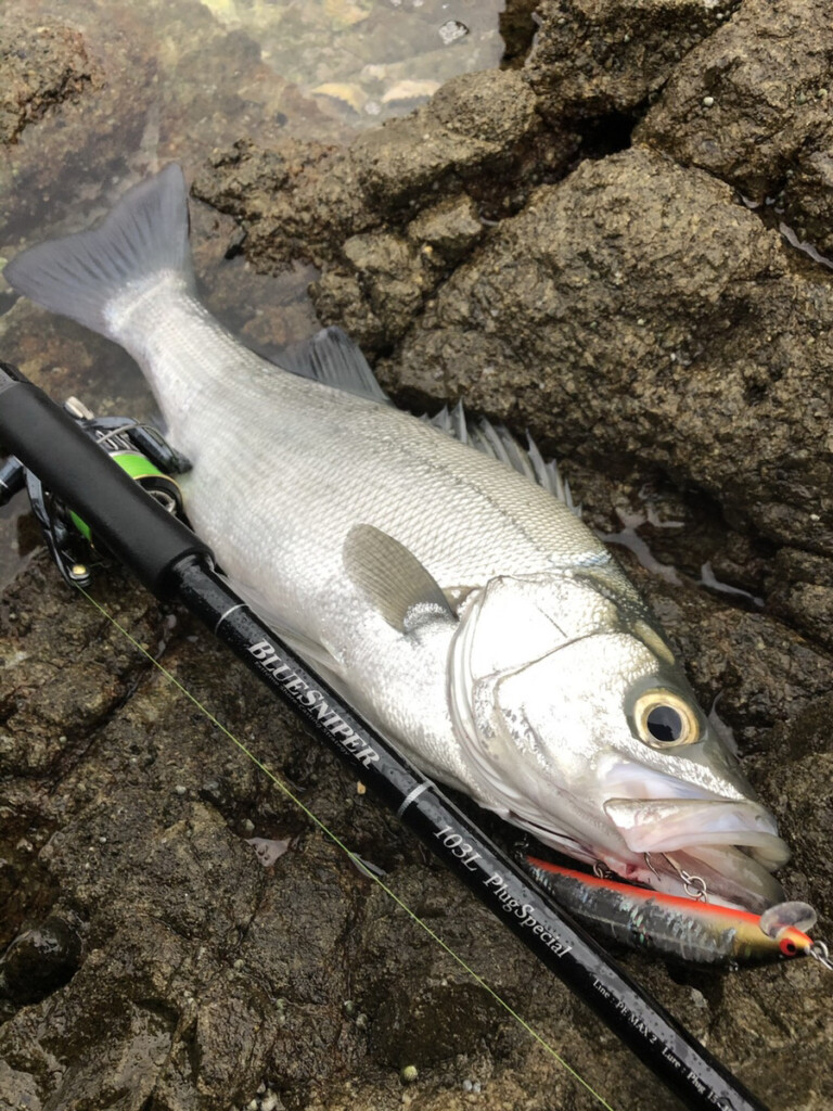 人気のショアキャスティングゲームに！】ヤマガブランクスの名竿「BLUE