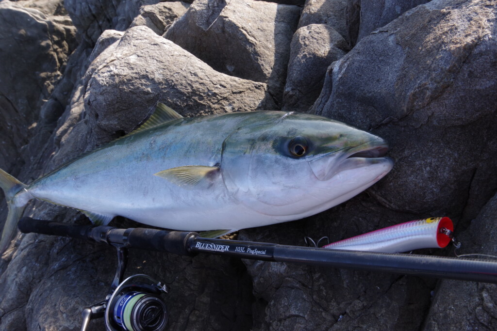 人気のショアキャスティングゲームに！】ヤマガブランクスの名竿「BLUE