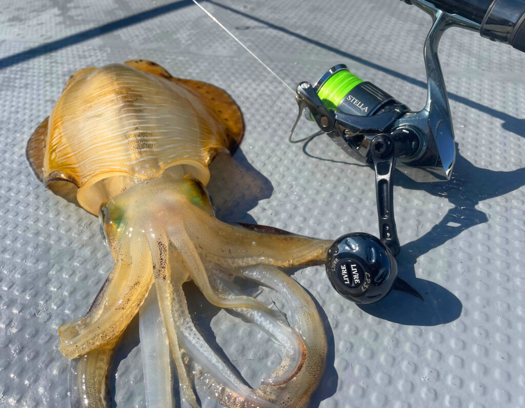 LIVRE× BLACKLIONコラボ「マクロ58リミテッド」】色んな釣りに対応して