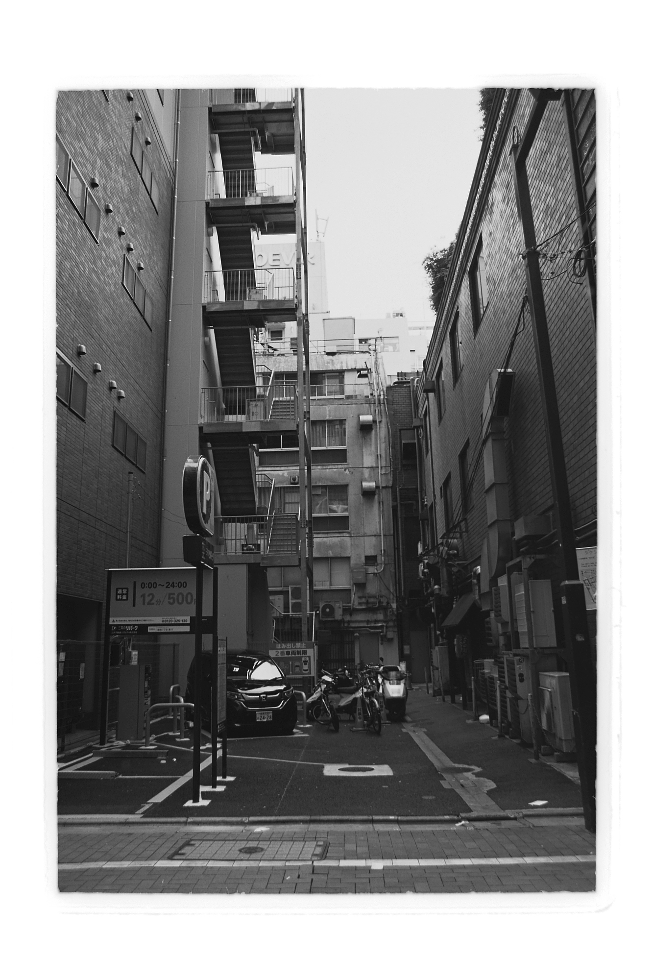 ミノルタα-5000（1986年6月15日配布物） | カメラカタログ通販