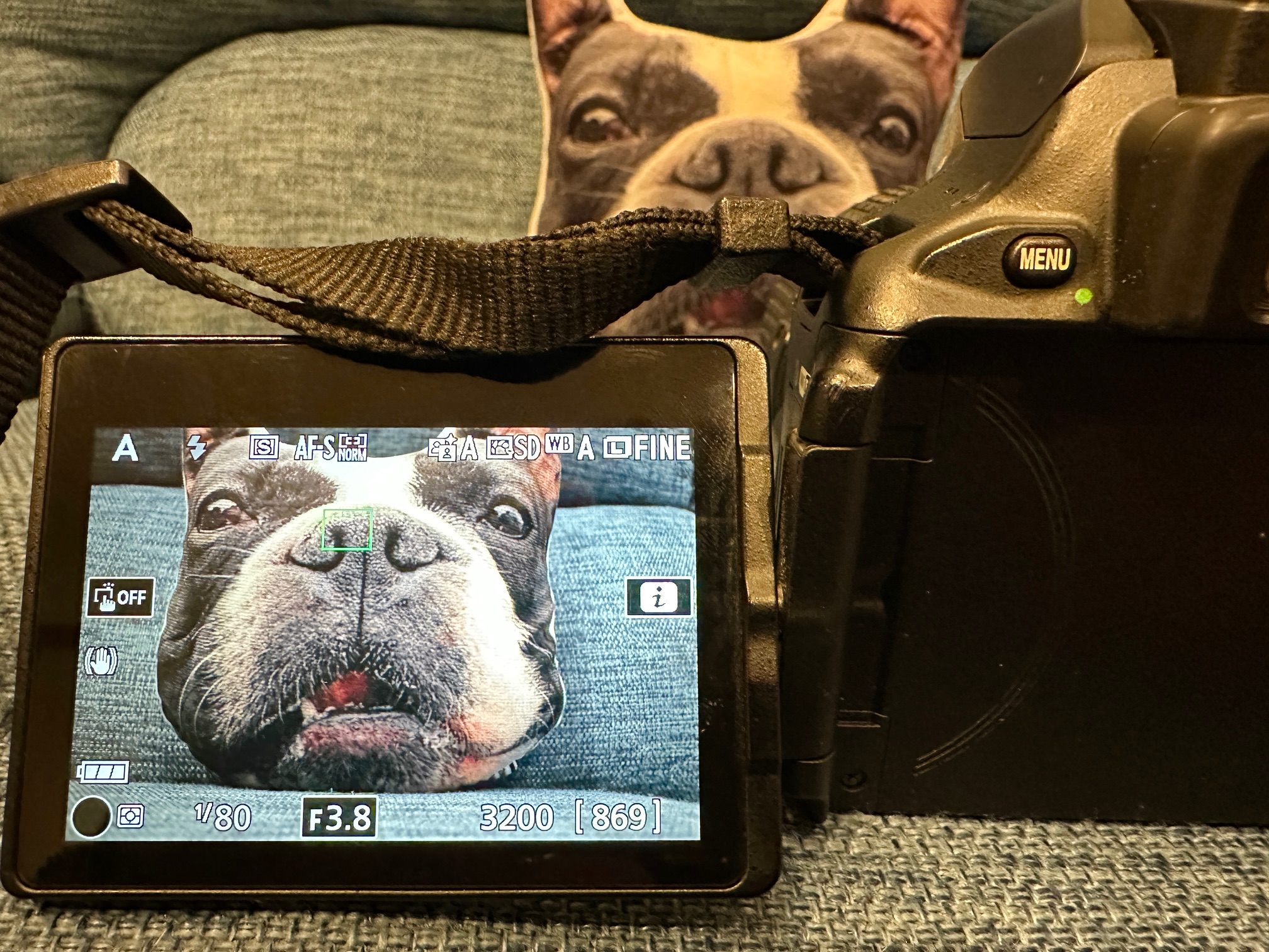 Nikon D5600レビュー】2026年に10年前の一眼レフはあり？今更購入した