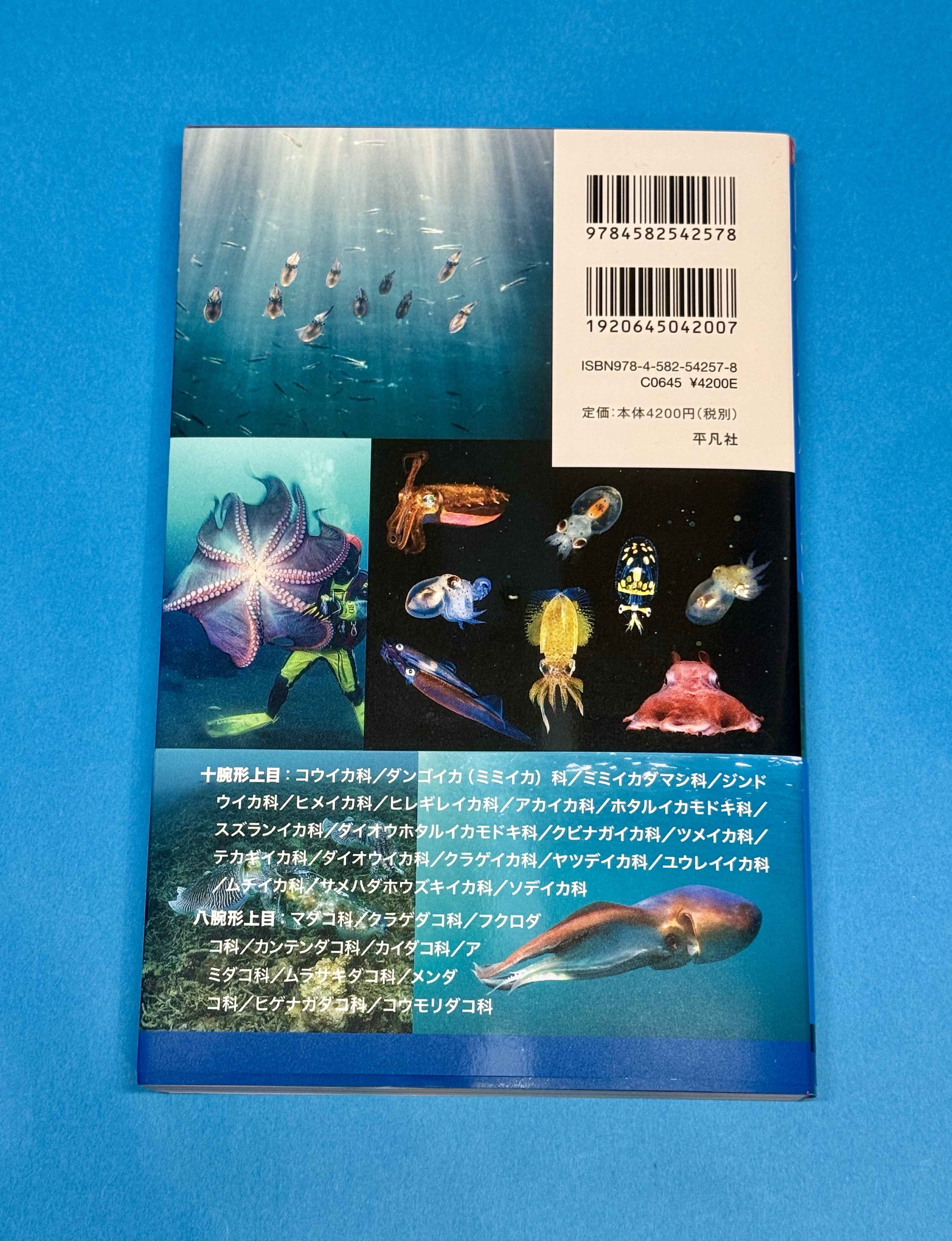 決定版 日本のイカタコ』 – tacotaco8