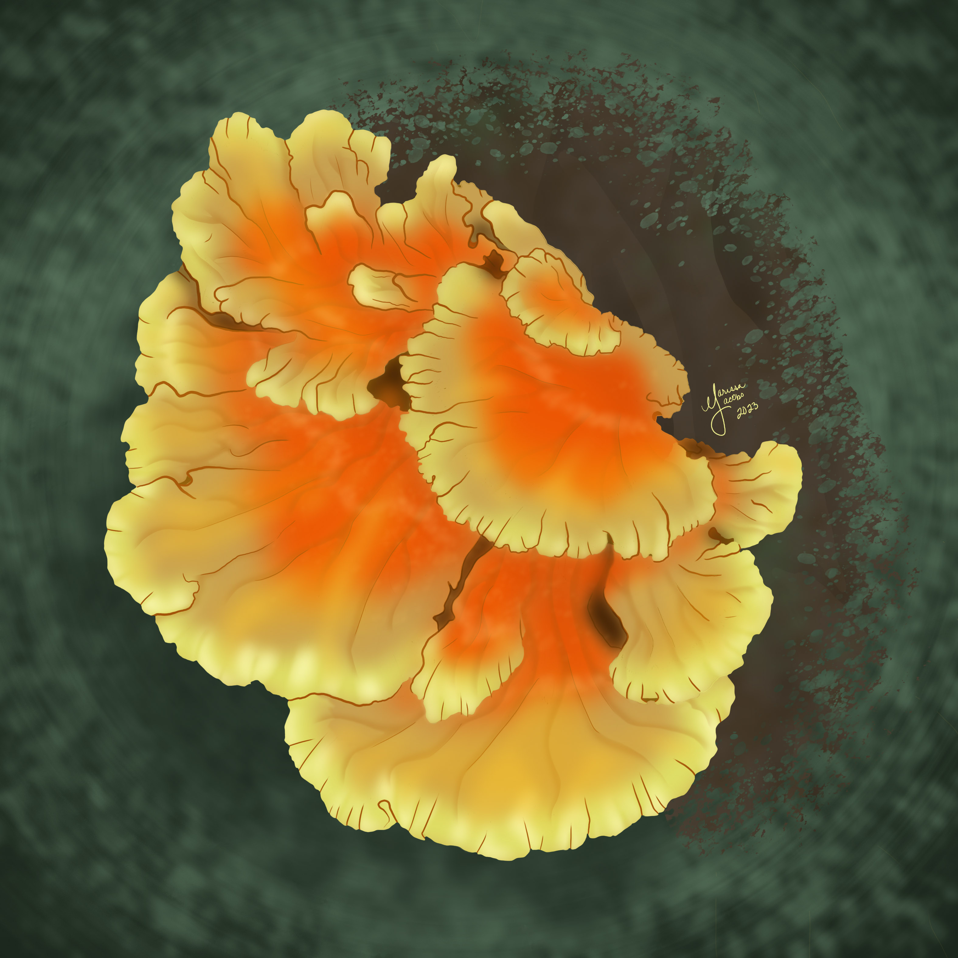 Fall Fungi Madness - The Art of Ecology