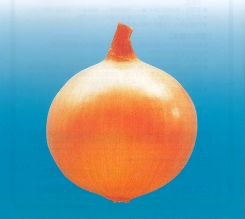 Tarzan002.jpg?fit=500,447&ssl=1