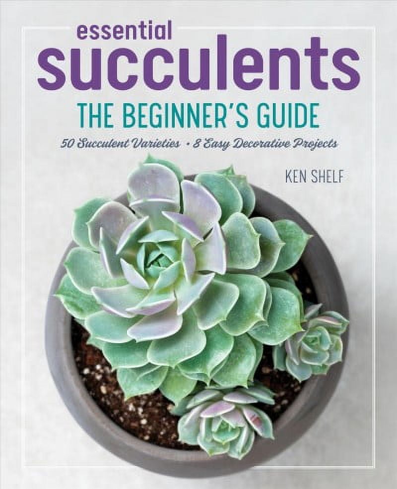 Essential Succulents : The Beginner's Guide (Paperback) - Walmart.com