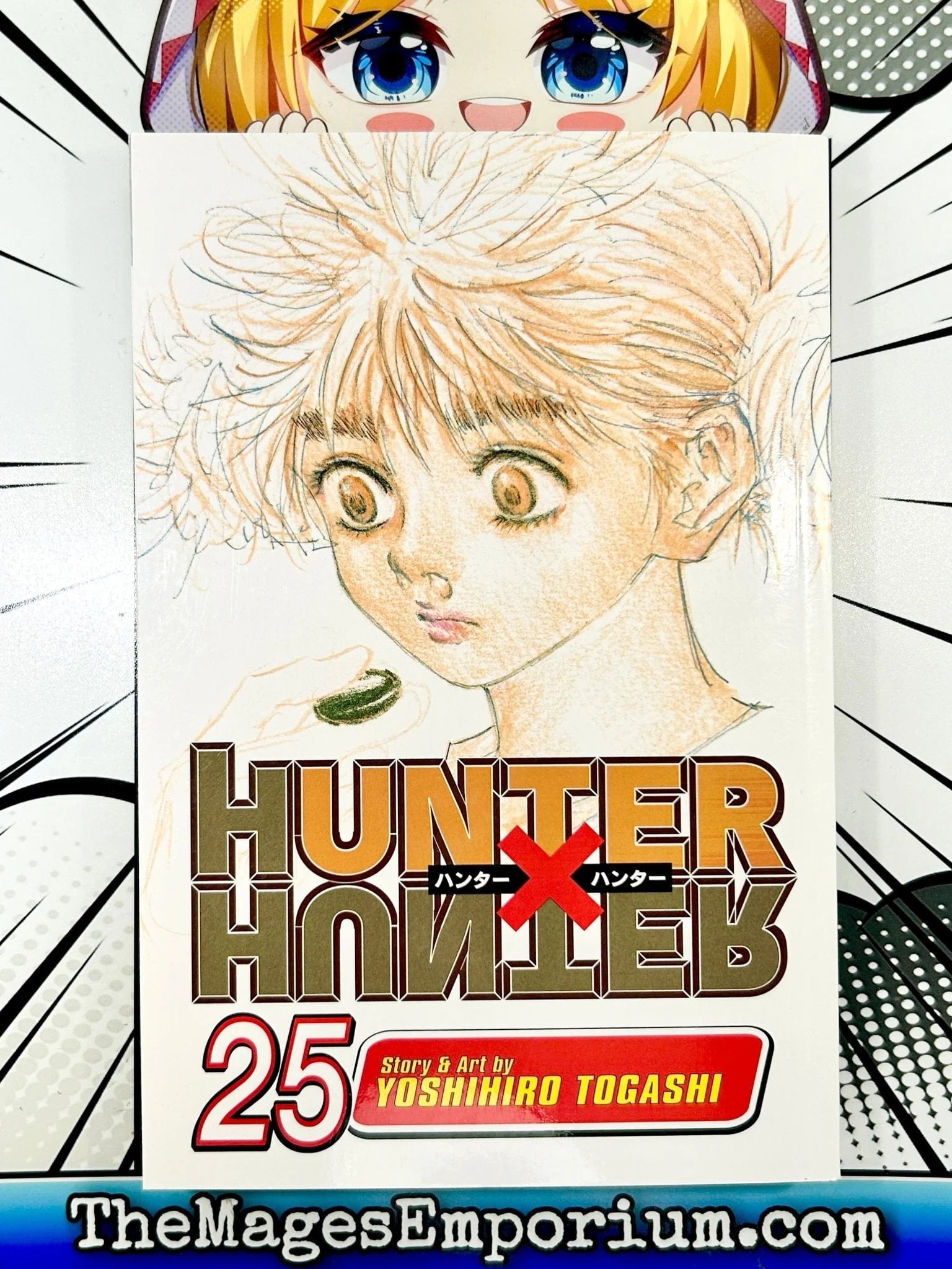 Hunter X Hunter: Hunter x Hunter, Vol. 25 (Series #25) (Paperback