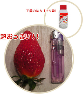 イチゴの直売 | さっちゃん家の幸せいっぱいイチゴ園