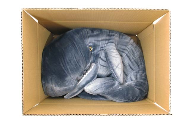 シ*ャ様 極希少マッコウクジラの歯、置物トータル830g 6点 シ*ャ様 極