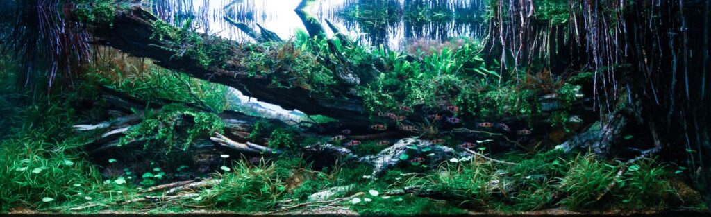 歴代受賞作品 | IAPLC