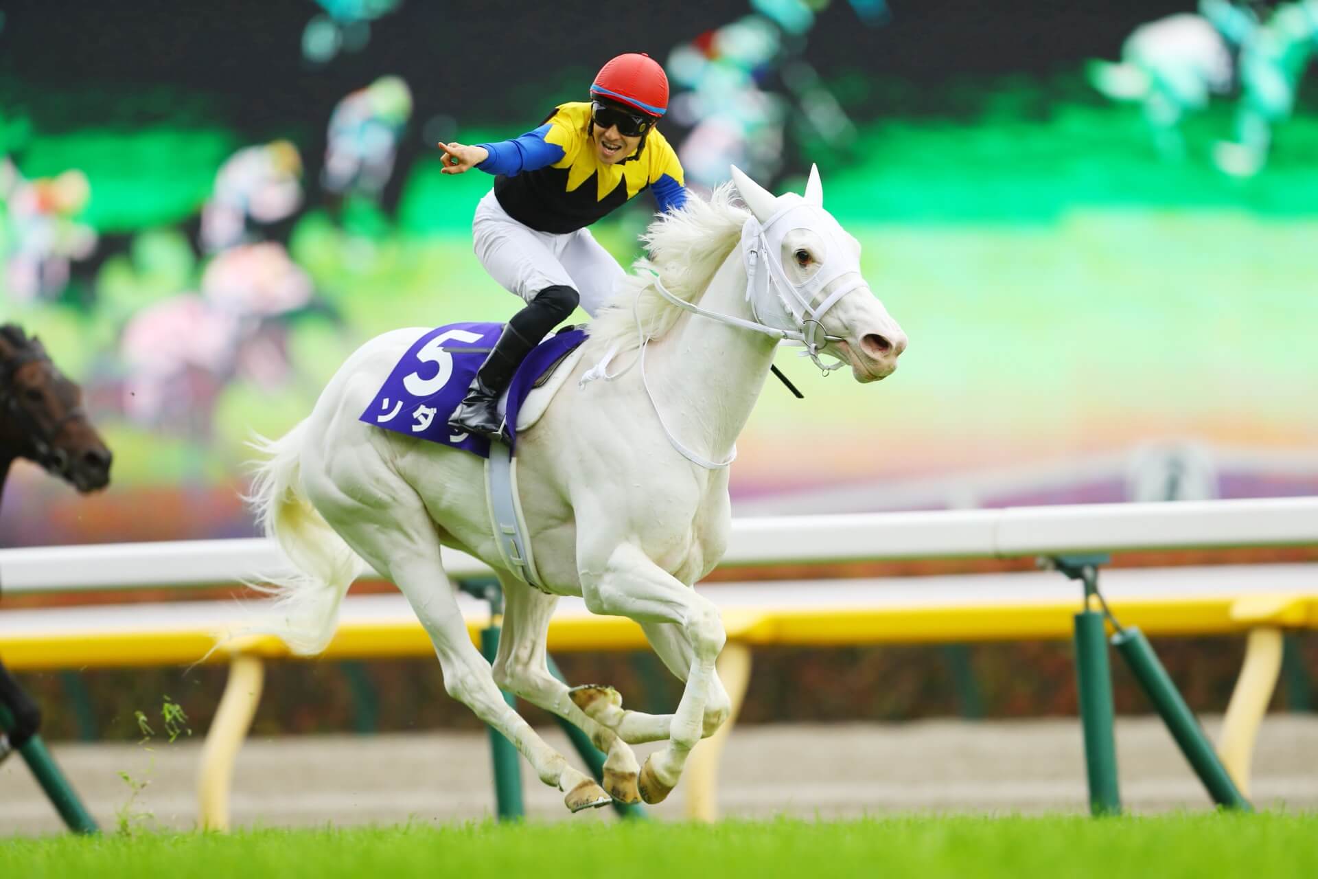 ウマ娘に登場してほしい」藤田晋オーナー、セレクトセールで白毛馬を