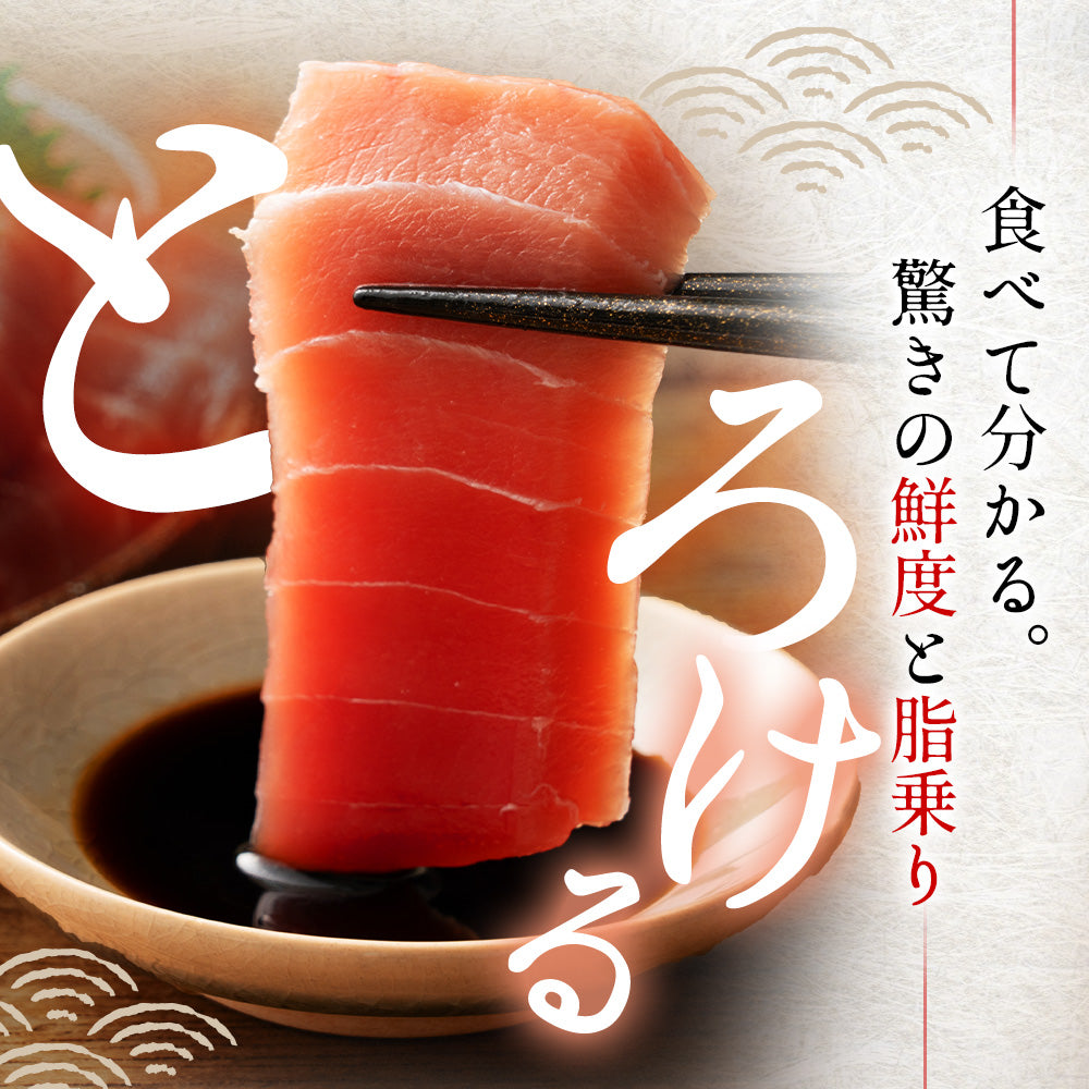 高知県産 日戻り わら焼き 鰹のたたき 本まぐろ （大トロ・中トロ