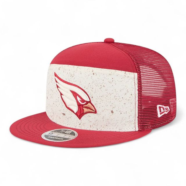 Arizona Cardinals Cardinal and Natural 2025 Rivalries Collection