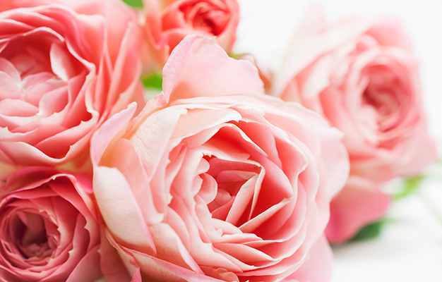 贅沢な輝きを放つ肌へ＿イオナ ザ・クリームⅡ | ゼリア新薬