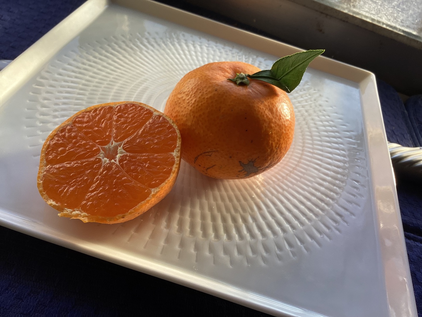 今食べてほしいたべごろに仕上げ 石積み潮風段々畑の石地みかん1.5kg