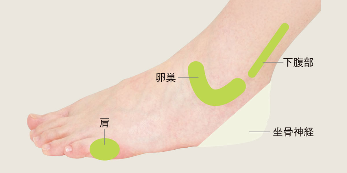 だるさや、疲れなどを解消。足ツボで動ける体になる！| 40代ヘルスケア