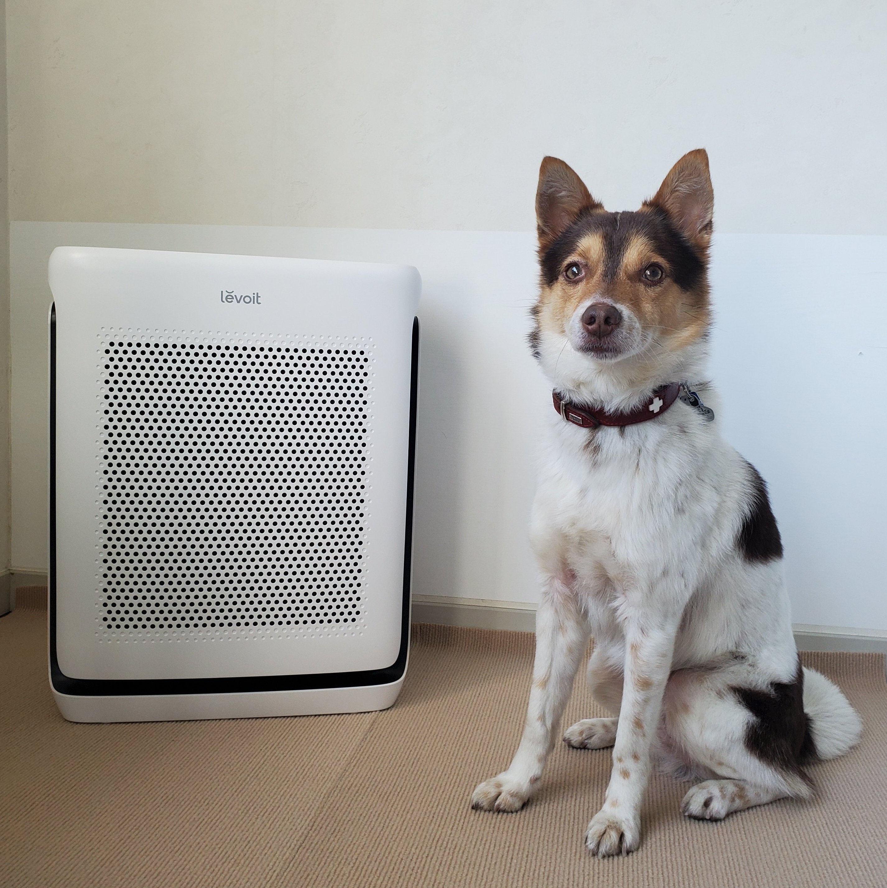 f0aa95a937cc061cd7bd34ed54cc14