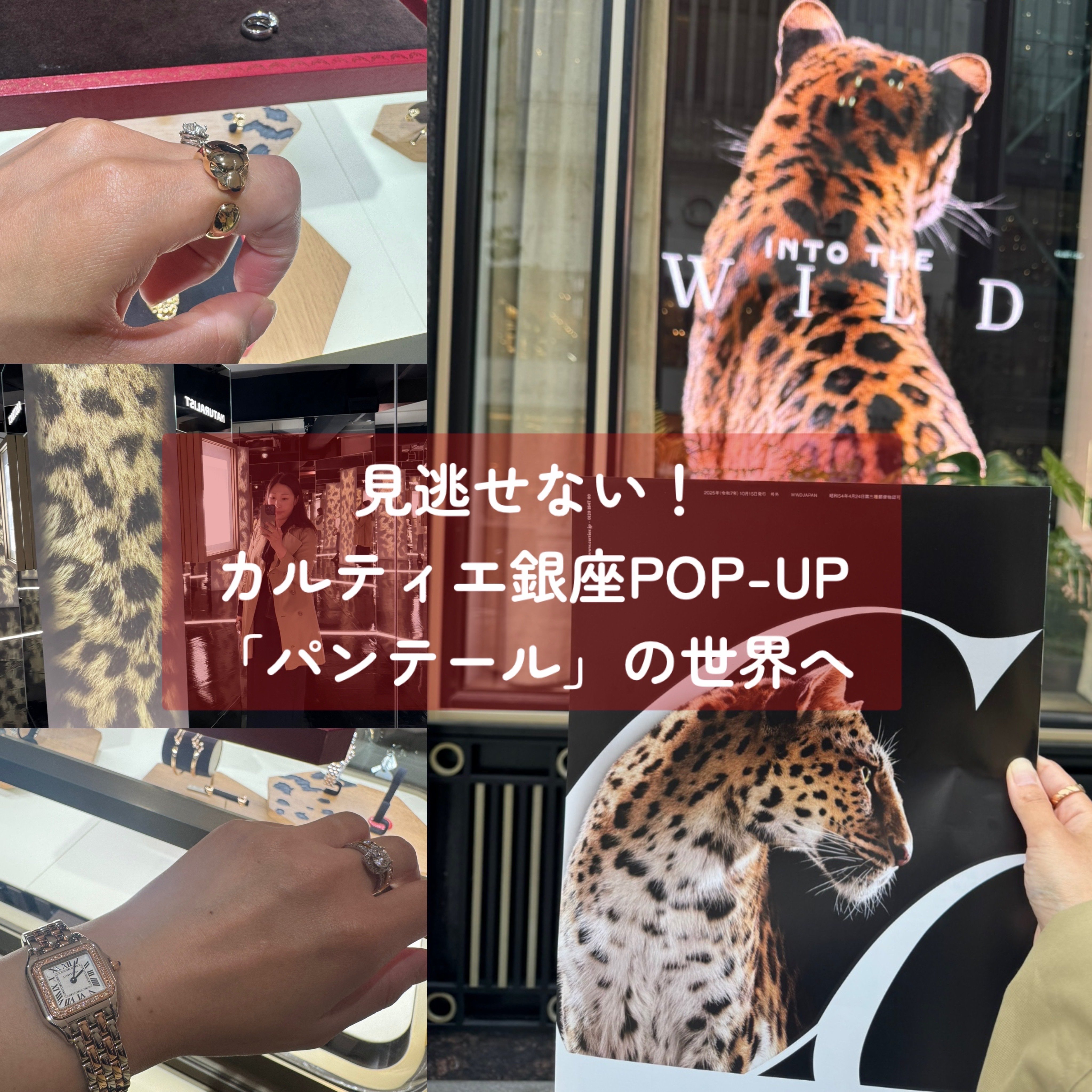 カルティエ銀座POP-UP「パンテール」の世界へ | Marisol(マリソル) 40