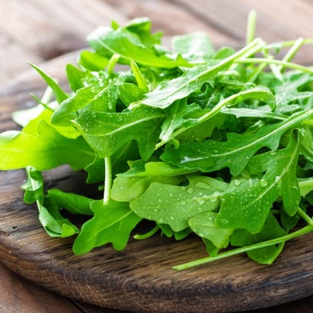 ルッコラの上手な育て方と収穫方法のコツとは？室内でも簡単に