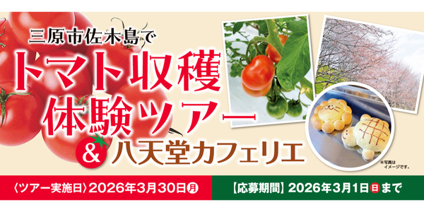 フレスタ 口田南店のチラシ・特売情報 | くふう トクバイ