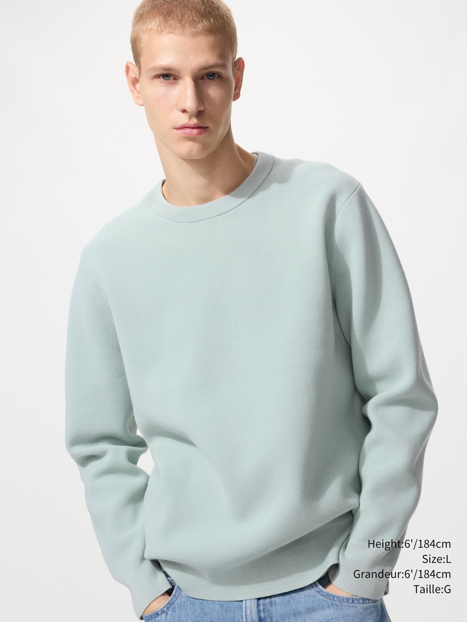 Unisex WASHABLE MILANO RIBBED CREW NECK SWEATER | UNIQLO CA