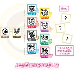 ヨドバシ.com - バンダイ BANDAI ポケットモンスター イーブイ