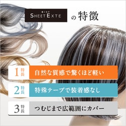 ヨドバシ.com - シートエクステ SHEET EXTE SHEET EXTE アッシュ