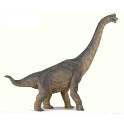 ヨドバシ.com - PAPO パポ 55030 DIOSAURS ブラキオサウルス 通販