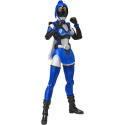 ヨドバシ.com - バンダイ BANDAI S.H.フィギュアーツ 非公認戦隊アキバ