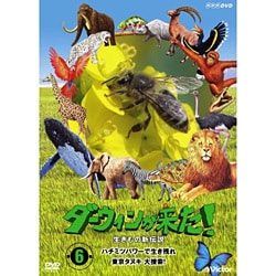ヨドバシ.com - ダーウィンが来た!生きもの新伝説 第6巻 [DVD] 通販