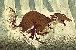 Jessica Cat | Communication Arts