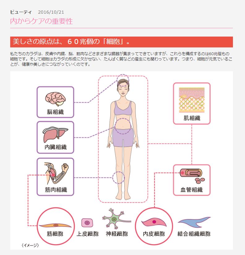 SPTM セプテム ビーソディン 60粒 ｜ ドコデモ