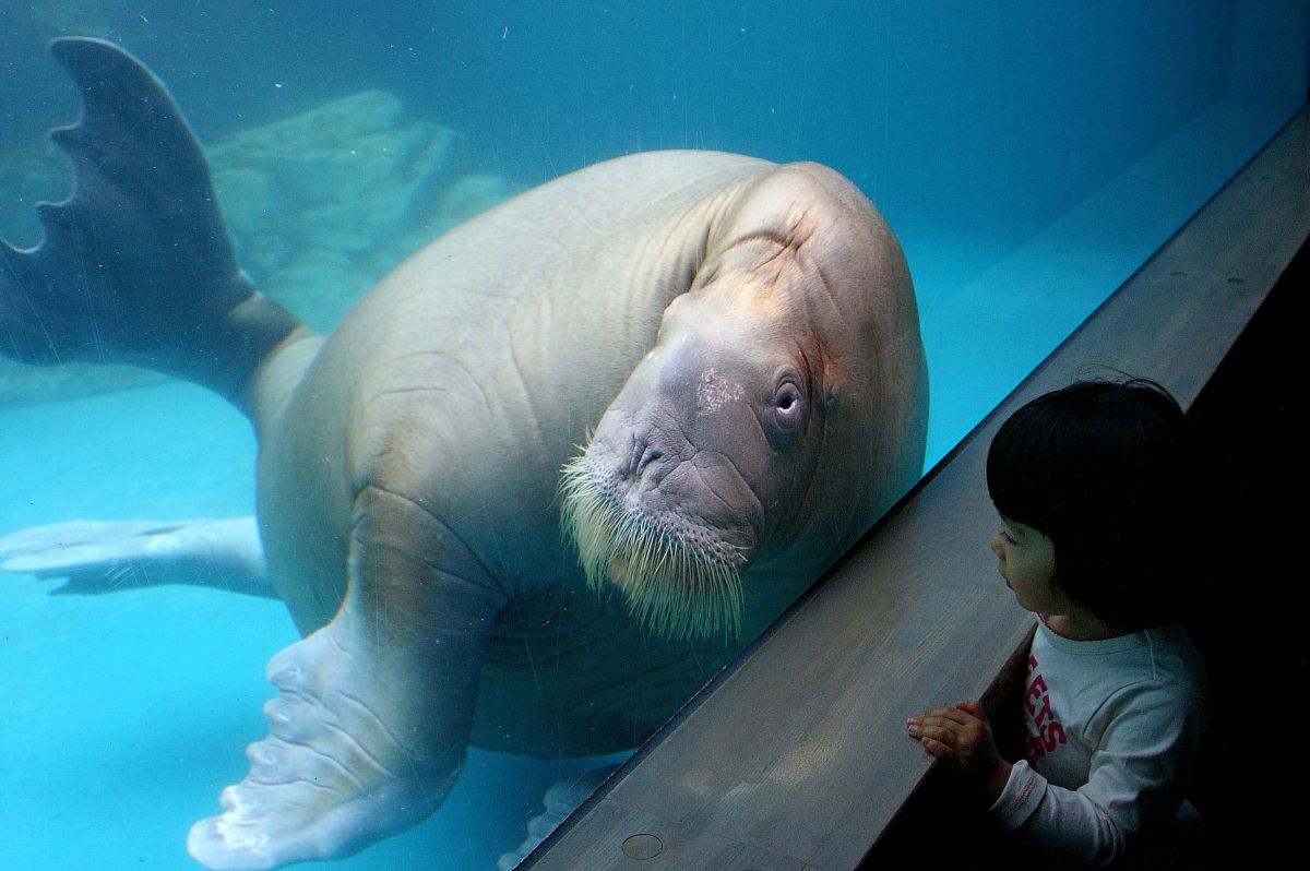 EF28-80mm F2.8-4L USMで撮影された写真 | 写真検索 | GANREF