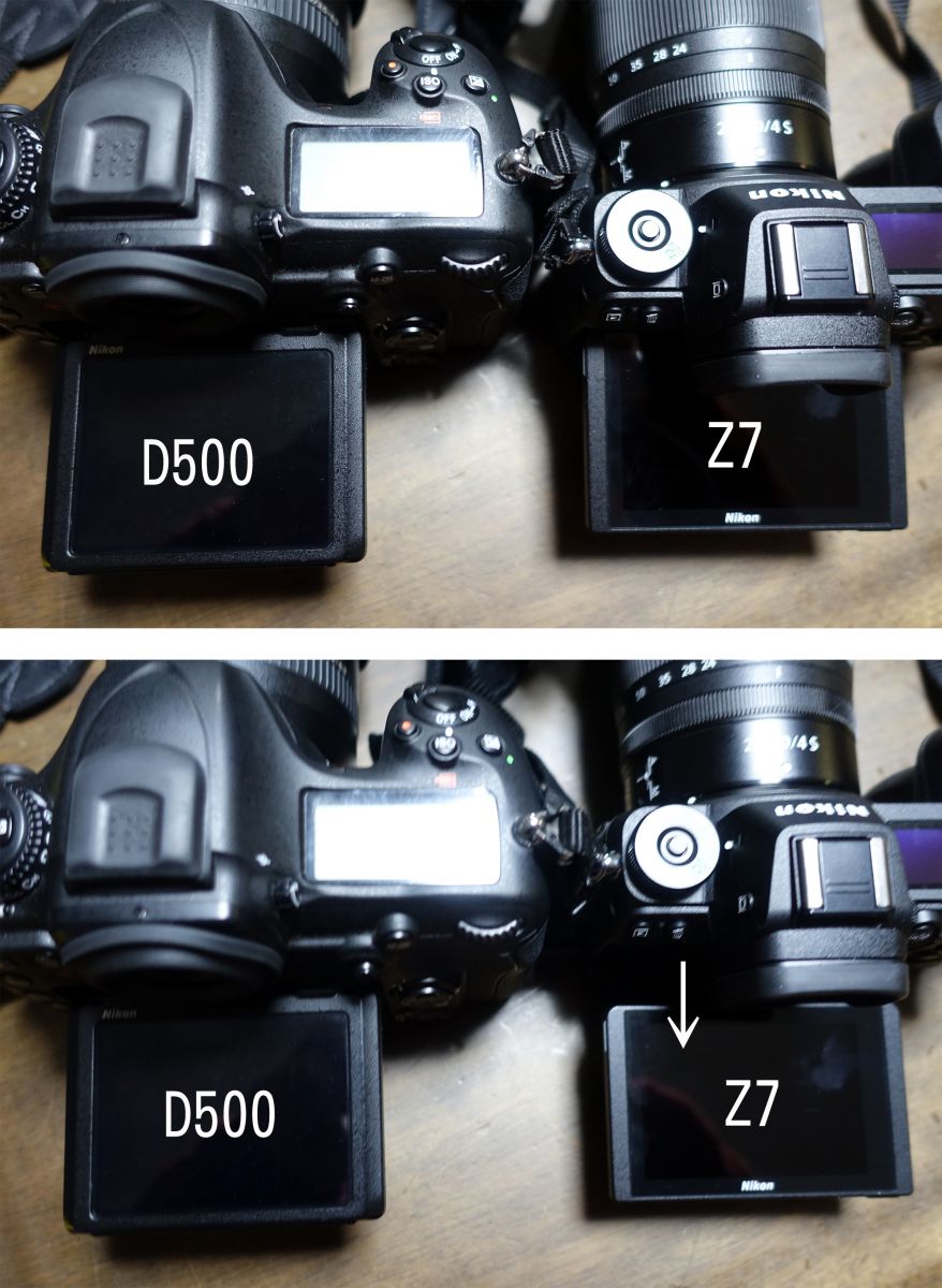 ニコンZ 7］レビュー4「奈良公園でD500とライブビュー撮影比較」 | GANREF