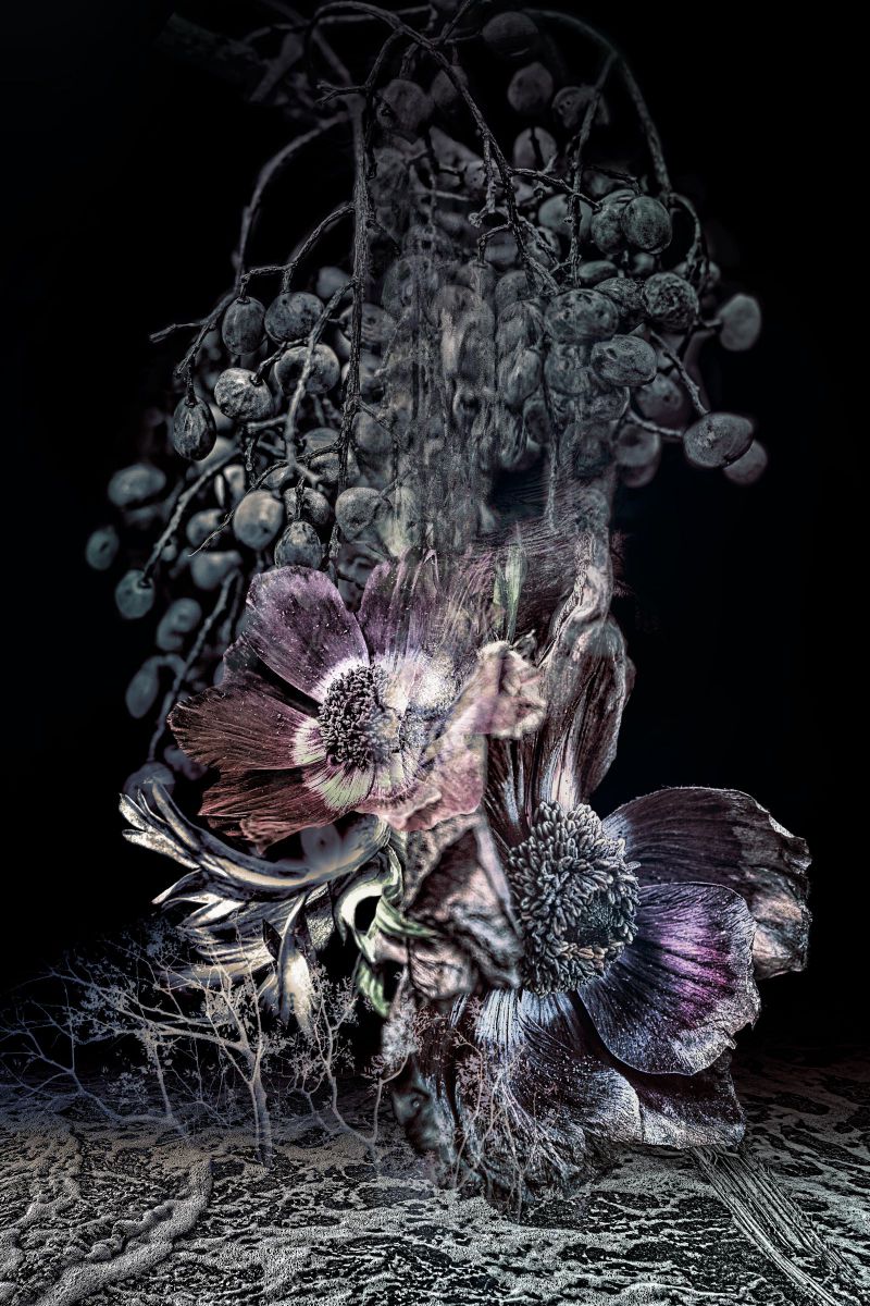 DP3 Merrillで撮影された写真 | 写真検索 | GANREF