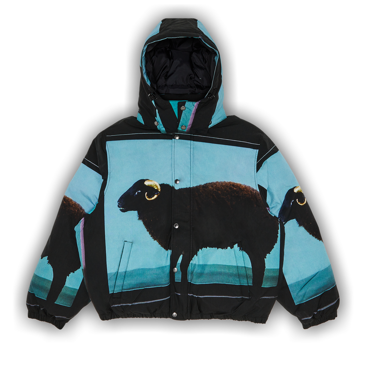 Buy Supreme x Damien Hirst Down Puffer Jacket 'Black' - SS25J19