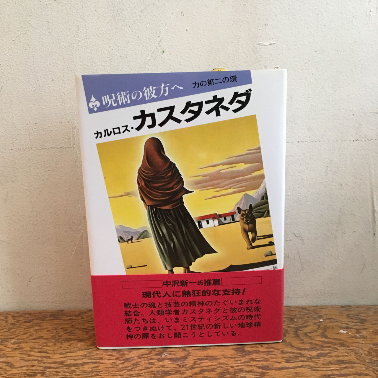 カルロス・カスタネダ／関連書籍 - nawaprasad ページ！