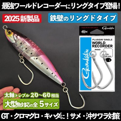 D-CLAW(ディークロウ)KEY HOOK(キーフック) 3/0 4/0 5/0 6/0 | ルアー