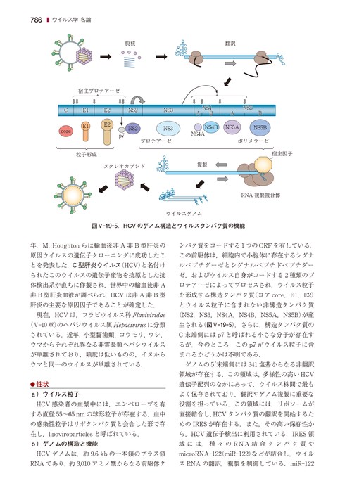 戸田新細菌学 – 丸善ジュンク堂書店ネットストア