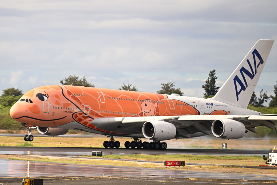 ANAの「フライングホヌ」3号機初便、ホノルルに到着 - ライブドアニュース
