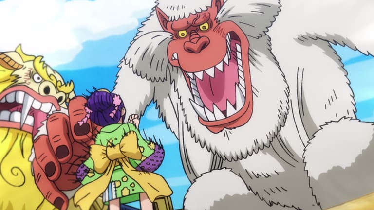 ワンピース - ワノ国編 - 893話 (アニメ) | 無料動画・見逃し配信を